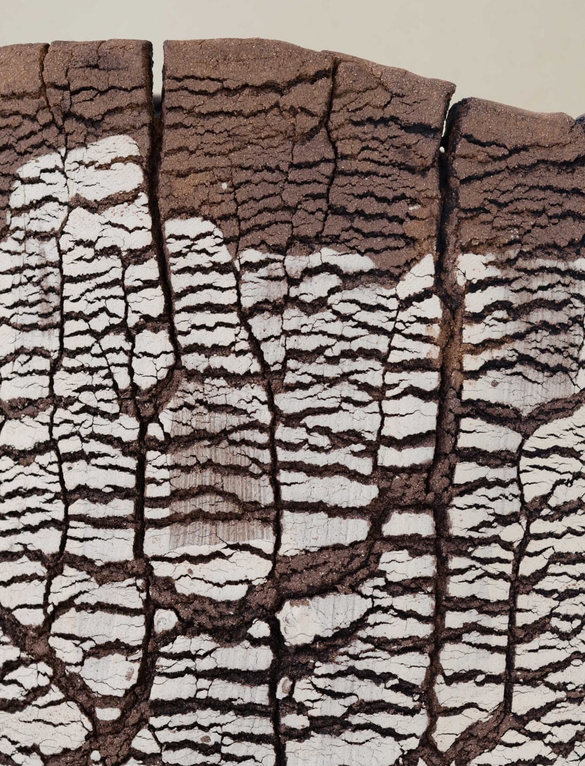 EARTHEN VEIL by Peter Durlev