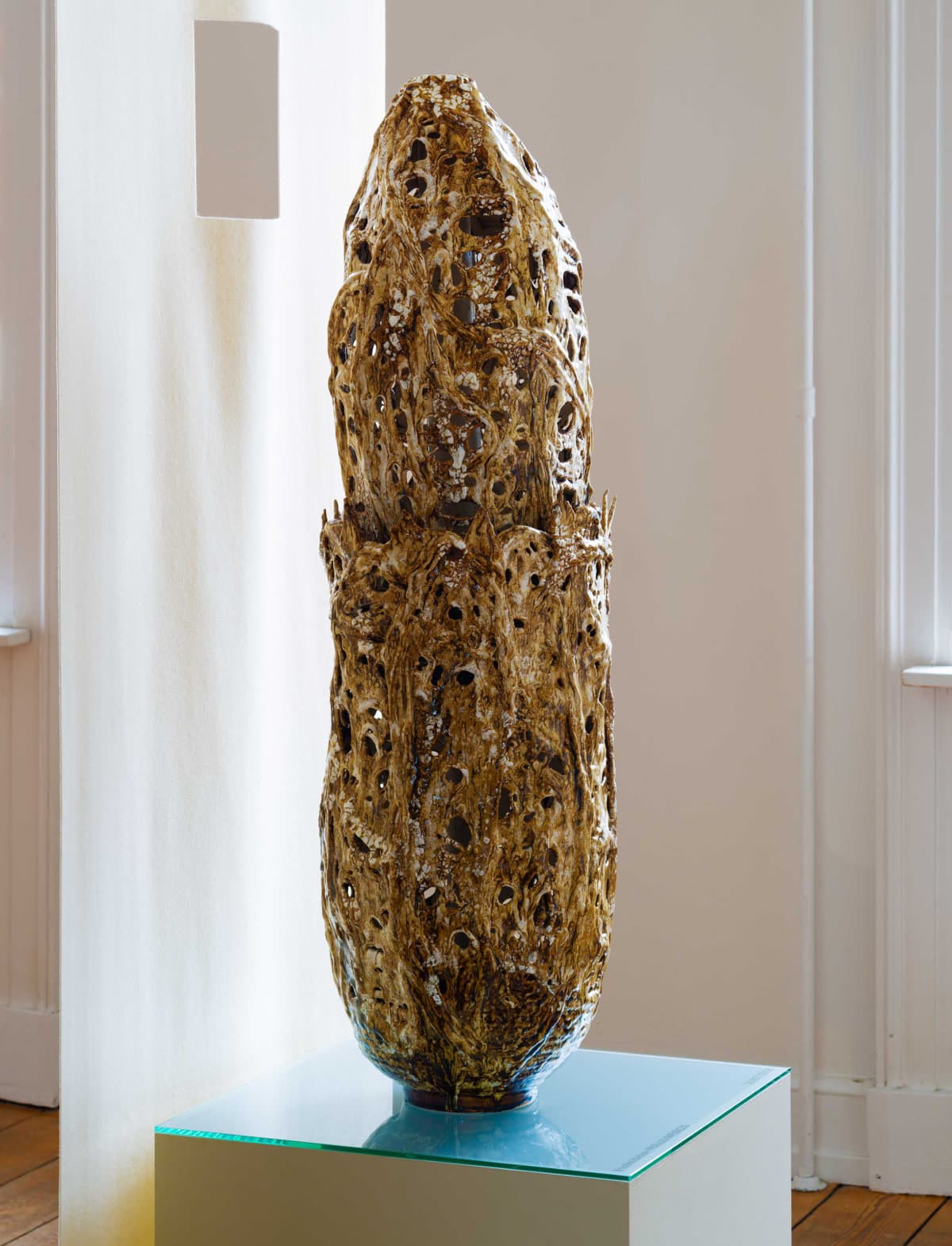 Phallus impudicus by Krestine Harboe