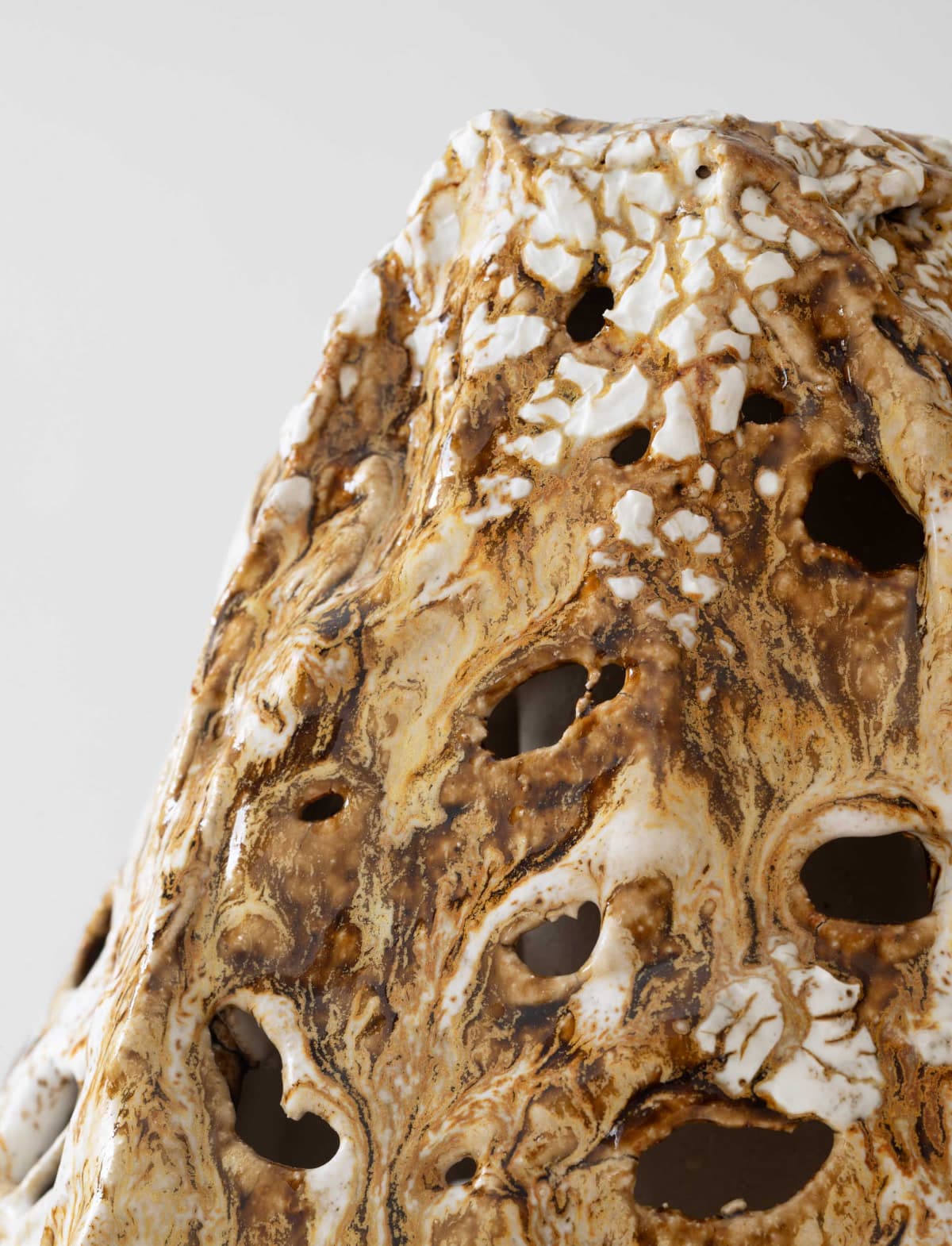 Phallus impudicus by Krestine Harboe
