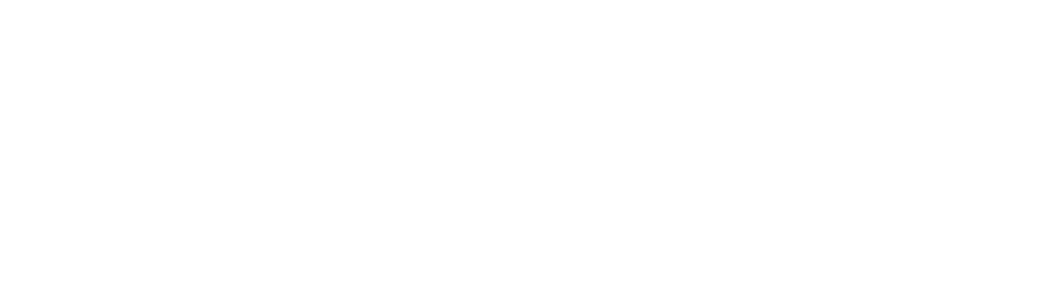 KD partner logo